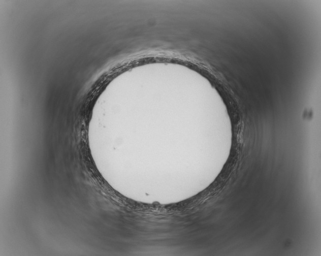 X0000111951495200908241151