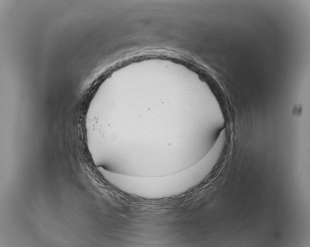 X0000111951496200908241151