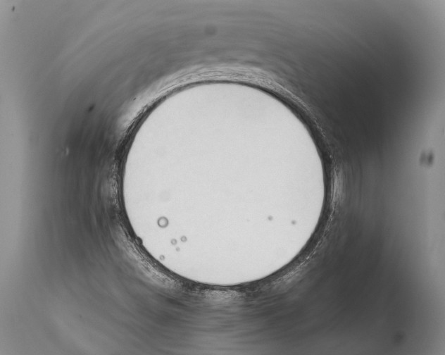 X0000111951498200908241151