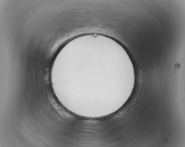 X0000111951499200908241151