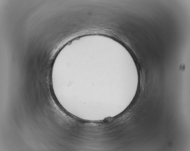 X0000111951500200908241151