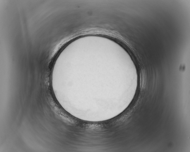 X0000111951501200908241151