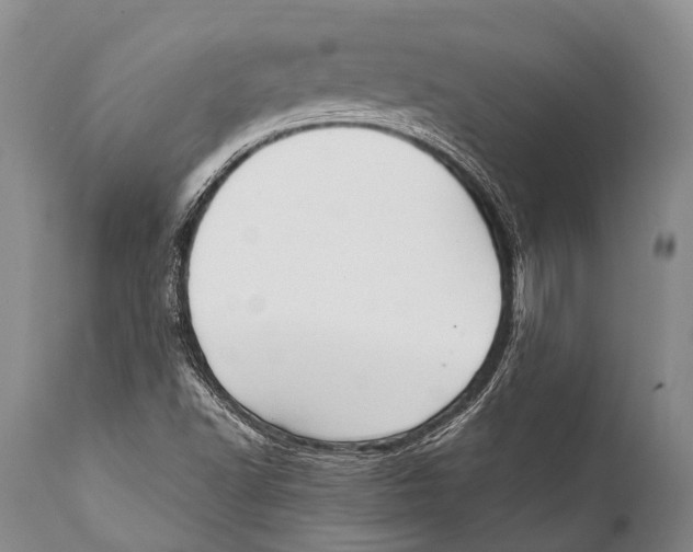 X0000111951502200908241151