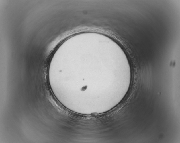 X0000111951503200908241152