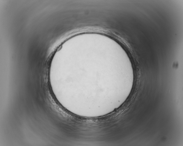 X0000111951504200908241152