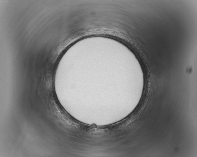 X0000111951505200908241152