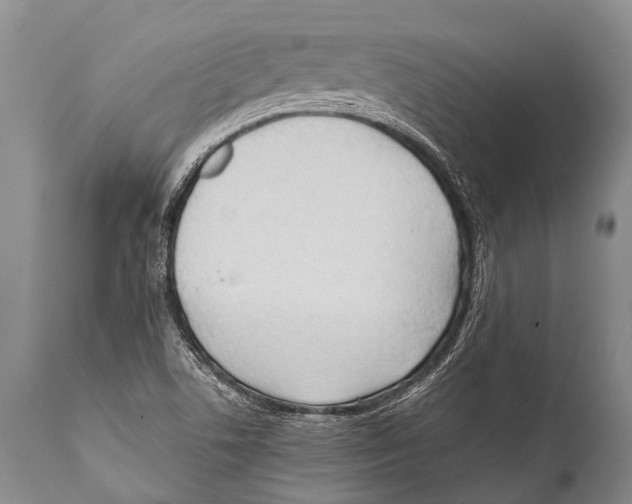 X0000111951506200908241152