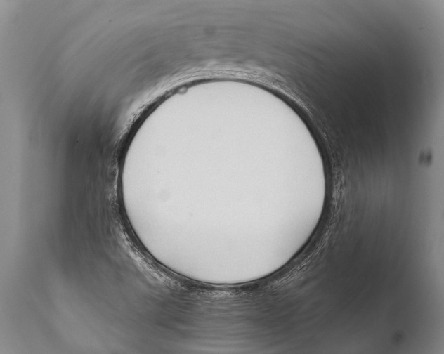 X0000111951507200908241152