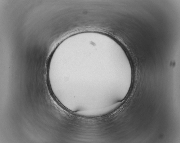 X0000111951508200908241152