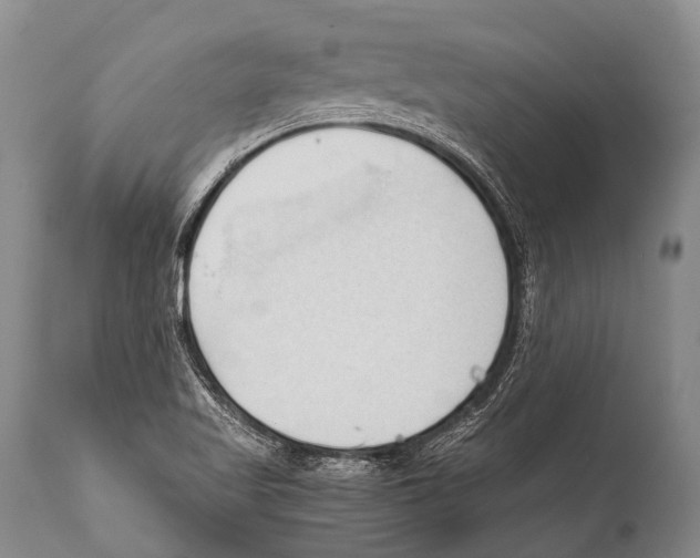 X0000111951509200908241152