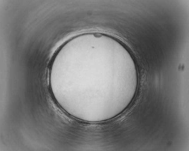 X0000111951510200908241152