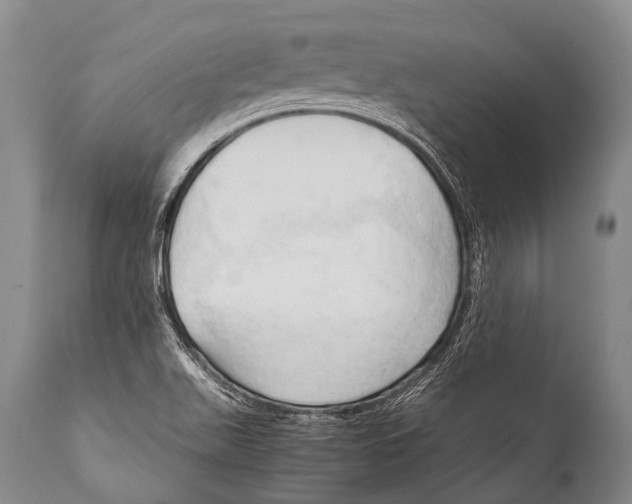 X0000111951511200908241152
