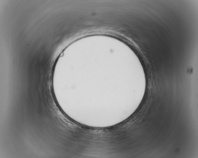 X0000111951512200908241152