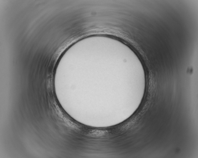 X0000111951513200908241152