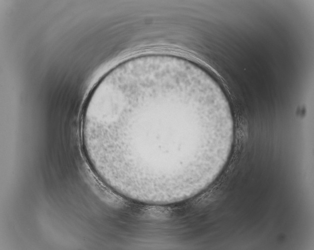 X0000111951514200908241152