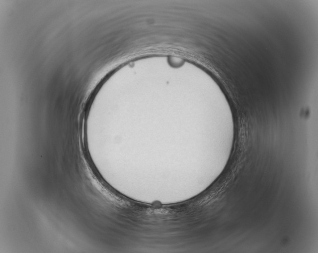 X0000111951515200908241152