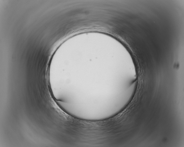 X0000111951516200908241152