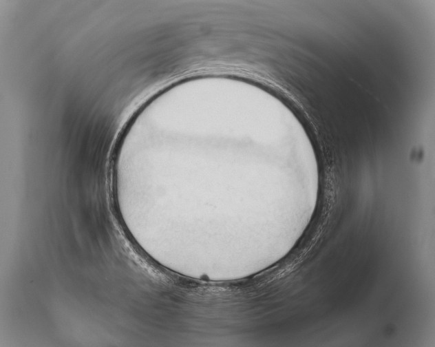 X0000111951517200908241152