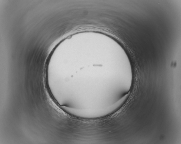 X0000111951518200908241152