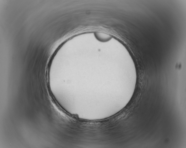 X0000111951519200908241152