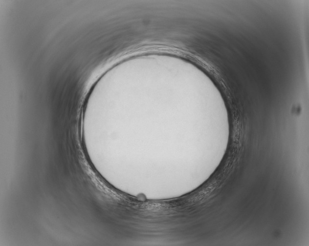 X0000111951520200908241152