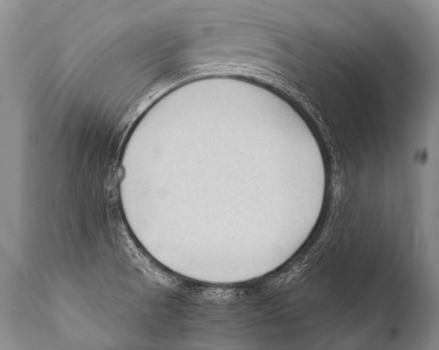 X0000111951521200908241152