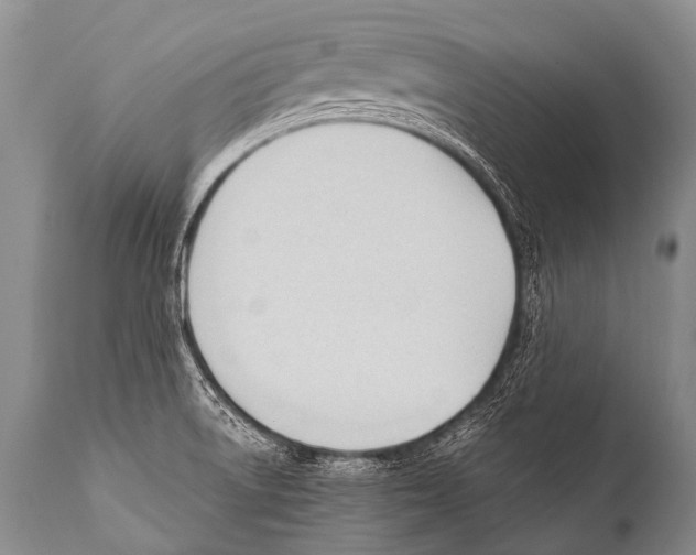 X0000111951522200908241152