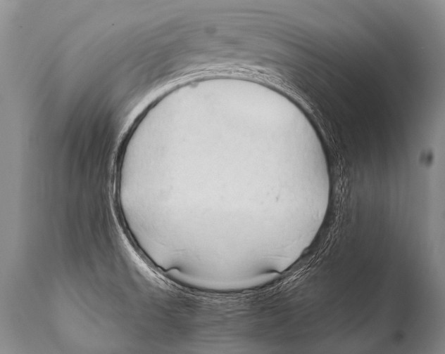 X0000111951523200908241152