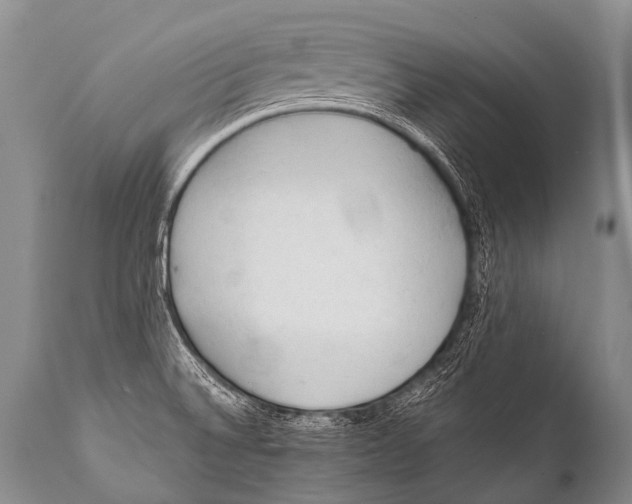 X0000111951524200908241152