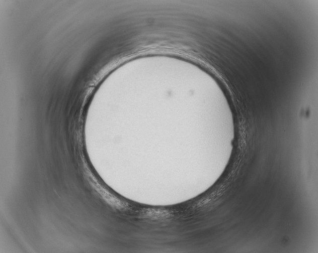 X0000111951525200908241152