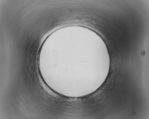 X0000111951526200908241152