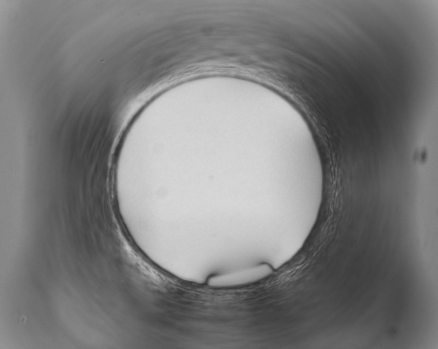 X0000111951527200908241152