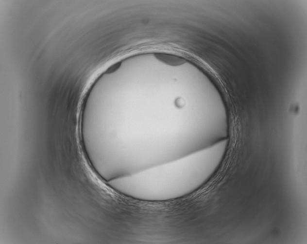 X0000111951528200908241152