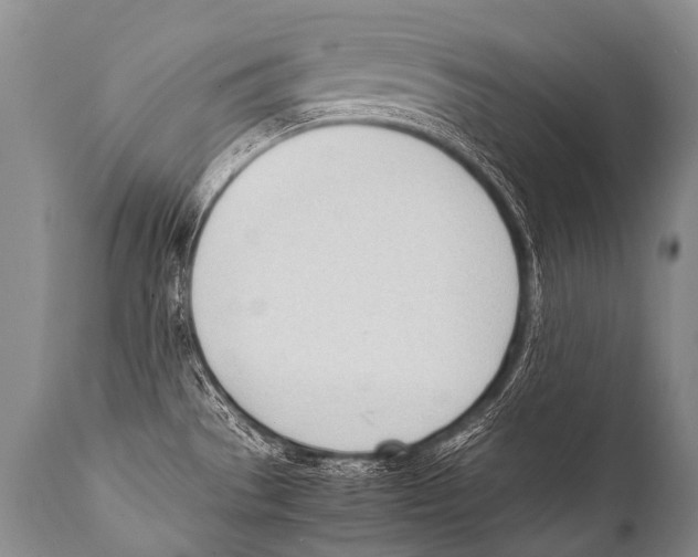 X0000111951529200908241152