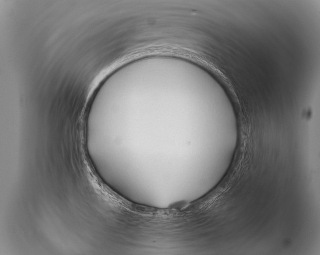 X0000111951530200908241152