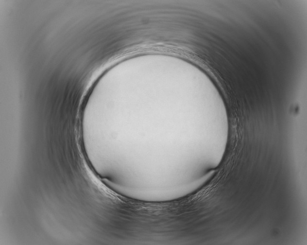 X0000111951531200908241152