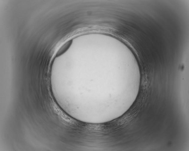 X0000111951532200908241152