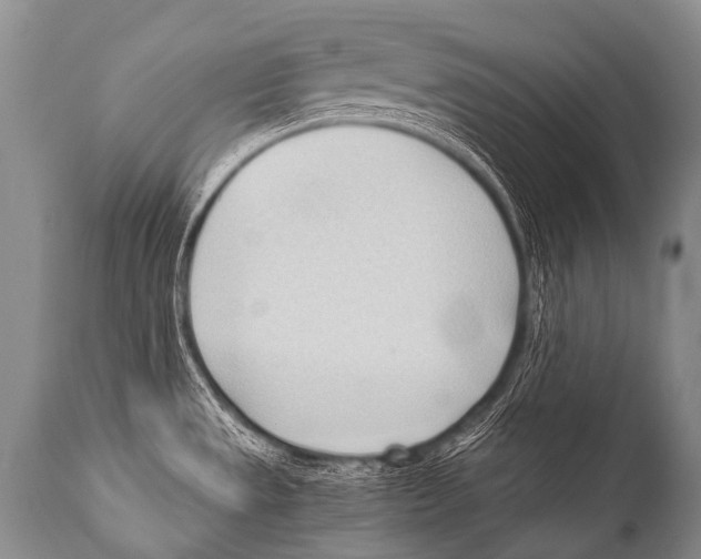 X0000111951533200908241152