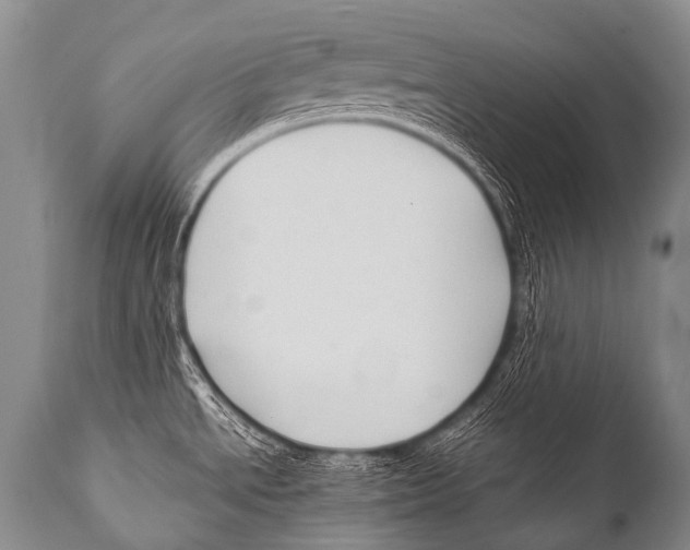 X0000111951534200908241152