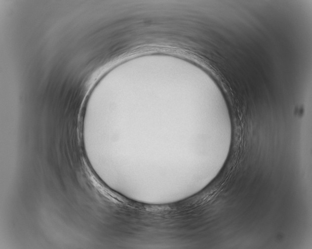X0000111951535200908241152