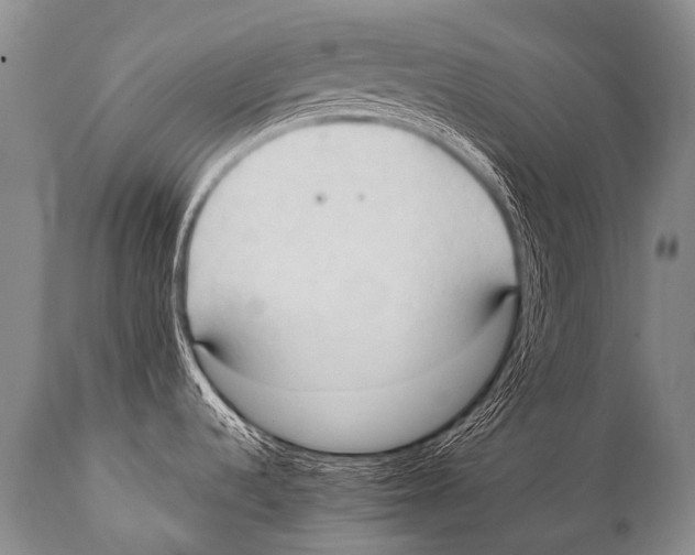 X0000111951536200908241152