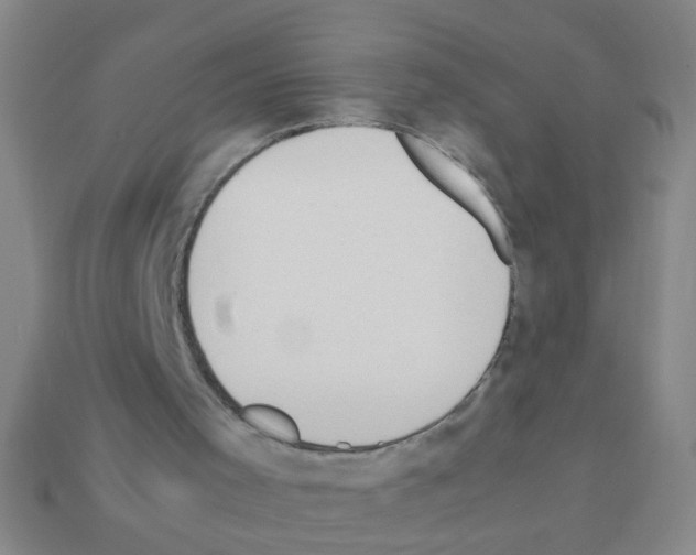 X0000111950001200909071329
