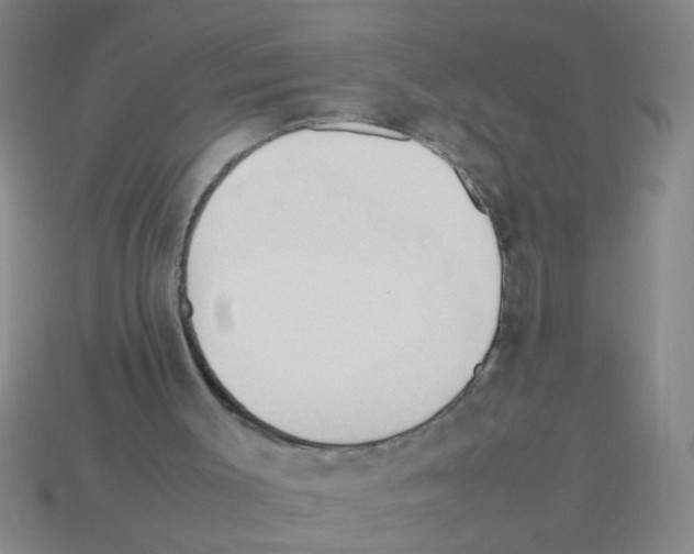 X0000111950003200909071329
