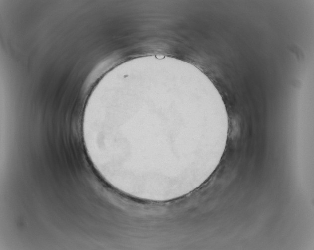 X0000111950004200909071329