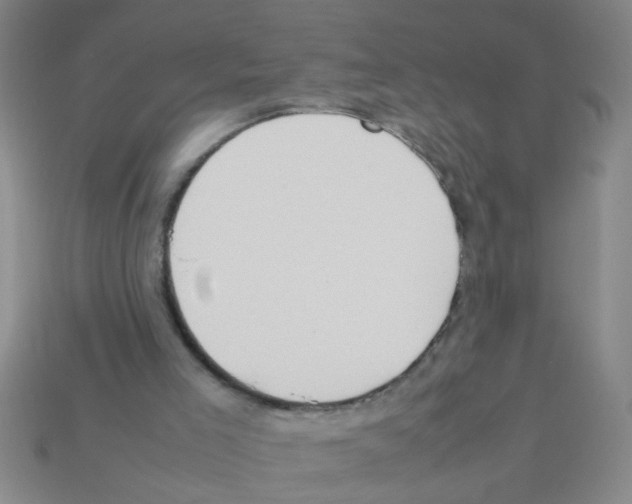 X0000111950005200909071329