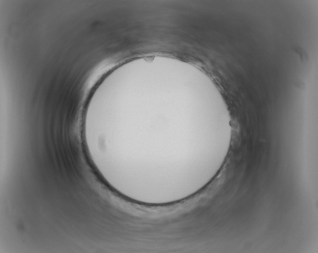 X0000111950006200909071329