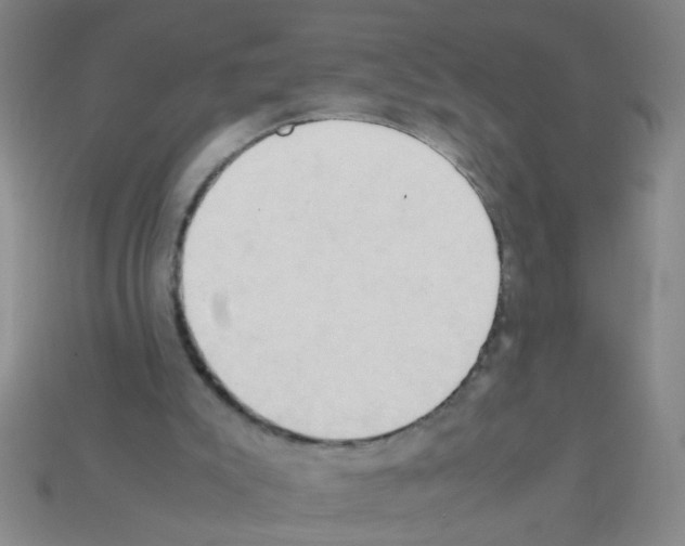 X0000111950007200909071329