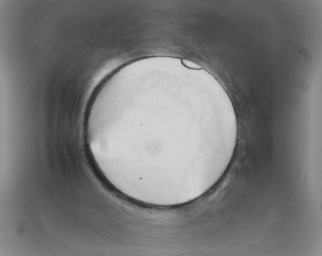X0000111950008200909071329