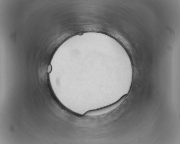 X0000111950009200909071329