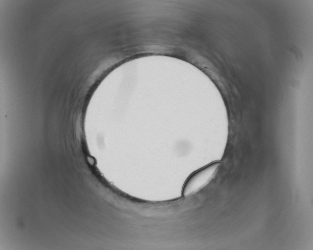 X0000111950011200909071329